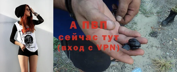 гашиш Белокуриха