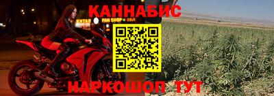 индика Мариинск