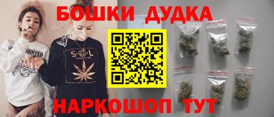 индика Мариинск