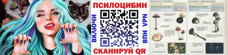 Галлюциногенные грибы ЛСД  Гусев 
