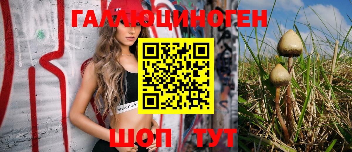 Псилоцибиновые грибы мухоморы  Вход с VPN  Гусев 